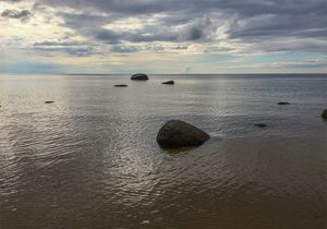 Новинки и интересные релизы за последнее время