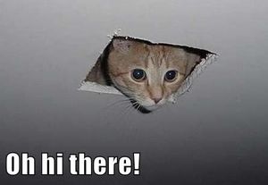 Подкаст № 1